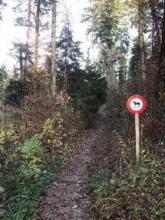 Ehemaliger Rückeweg Forstbetrieb